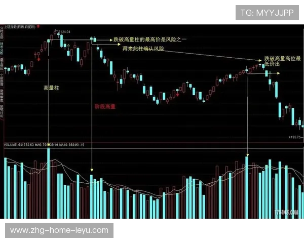 Chinese Taipei战术运用:精准发球与战术接发球 Chinese Taipei战术运用:精准发球与战术接发球