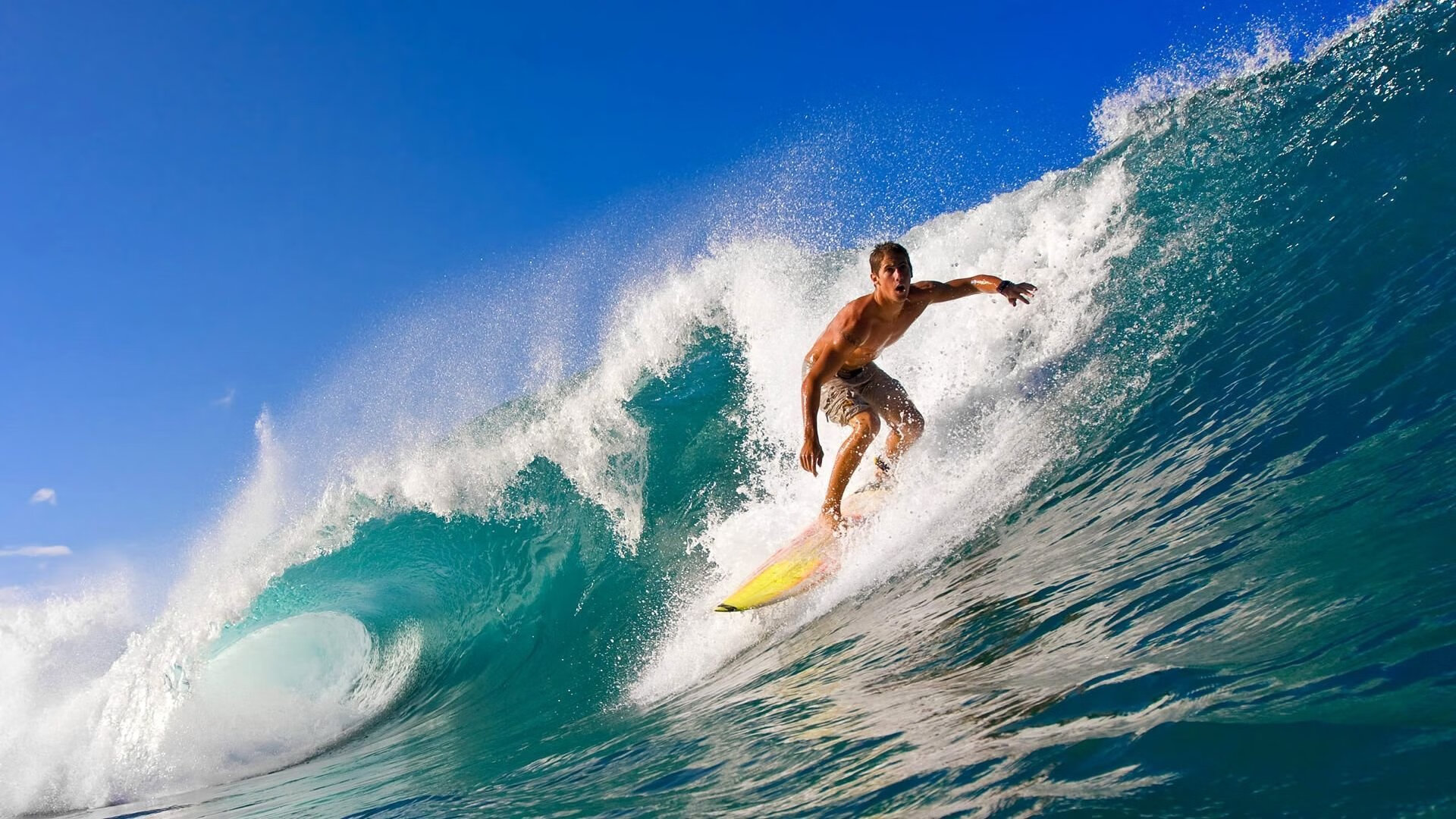 乐鱼体育在线入口-S5到S15十年情怀接力，逆光玩家含泪见证，s5最新